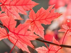 -云峰山自然风景区