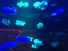 iphone_upload_pic-东部华侨城