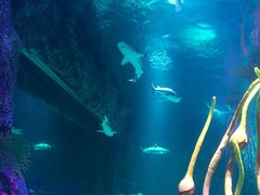 -沈阳海洋探索中心