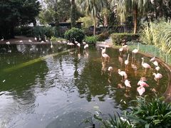 -九龙公园