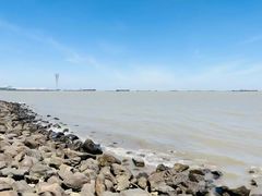 -上海吴淞炮台湾国家湿地公园