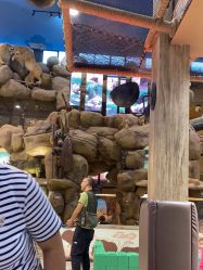 -卡通尼·Safari非洲探索乐园·生日会(金桥国际商业广场店)