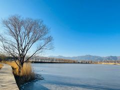 -野鸭湖国家湿地公园