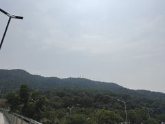 -岳麓山风景名胜区