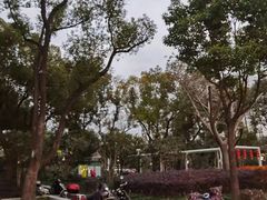 -兰溪青年公园