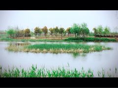 -尚贤河湿地