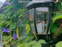 -国家大剧院