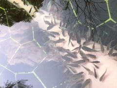 -海兰云天度假区温泉