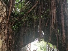 -乌山风景区