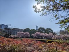 -白塘生态植物园