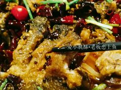 老板恋上鱼-老板恋上鱼(环山路店)