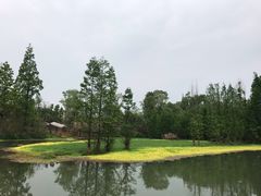 -桤木河湿地公园