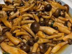 -鸽子窝(青塔店)
