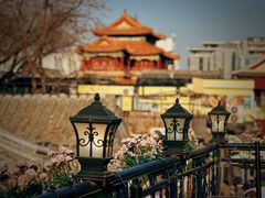 -Sirena海妖日咖夜酒