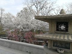 -大明寺素食坊(扬子江中路店)