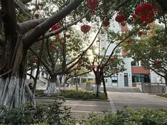 -厦门大学(思明校区)