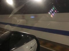 -胶州湾海底隧道