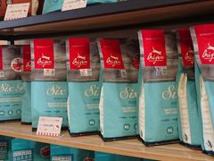 -70cat德文卷毛猫·缅因猫纯种猫舍