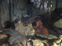 -济南野生动物世界
