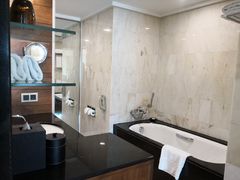 -新加坡文华东方酒店