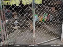 -绿堤公园