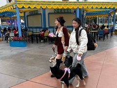 -厦门方特梦幻王国