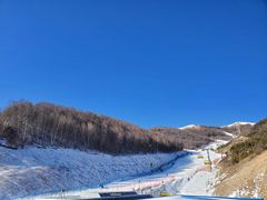 -密苑云顶乐园(云顶滑雪场)
