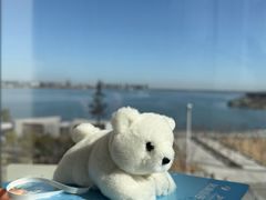 -朵云书院(滴水湖店)