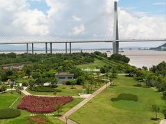 -芒洲湿地公园