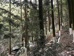 -莫干山风景区