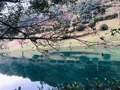 -桃花岭景区
