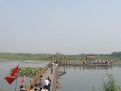 -溱湖国家湿地公园