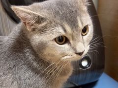 -宠福鑫动物医院(城北分院)