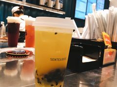 -森茶(湛江万达店)
