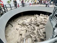 -自贡恐龙博物馆