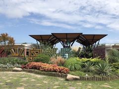 -上海长兴岛郊野公园