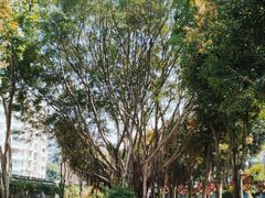 -船政文化景区-罗星塔公园