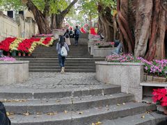 -龙环葡韵住宅式博物馆