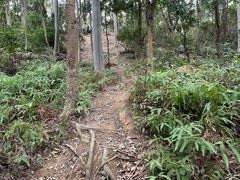 -燕晗山郊野公园