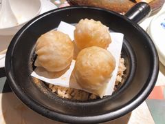 -点都德·毕德寮
