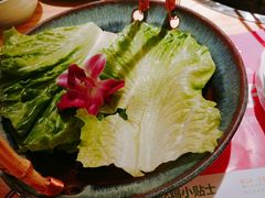 -椰夫人·养生椰子鸡(金沙洲永旺店)