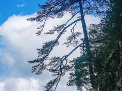 -明月山风景名胜区