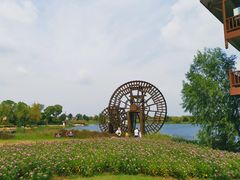 -金卉庄园