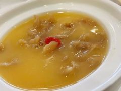 浓汤花胶-江南村酒家