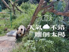-广州长隆野生动物世界