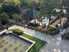 -罗浮山嘉宝田森林温泉度假酒店