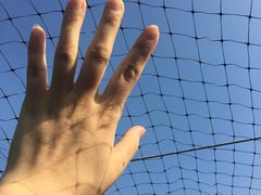 -马陆小张葡萄园农家乐