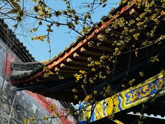 -西安大兴汤院遗址公园