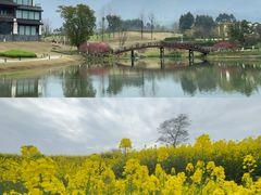 -廖哥泡椒兔(峨眉店)