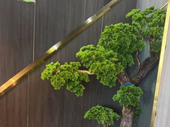 -野菌皇海景野生菌火锅(滨海大道店)